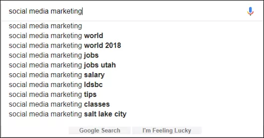 Google Search Suggestion
